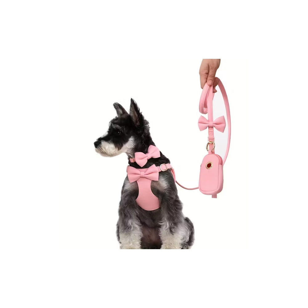 SET PETTORINA-COLLARE-GUINZAGLIO PER ANIMALI DI PICCOLA TAGLIA