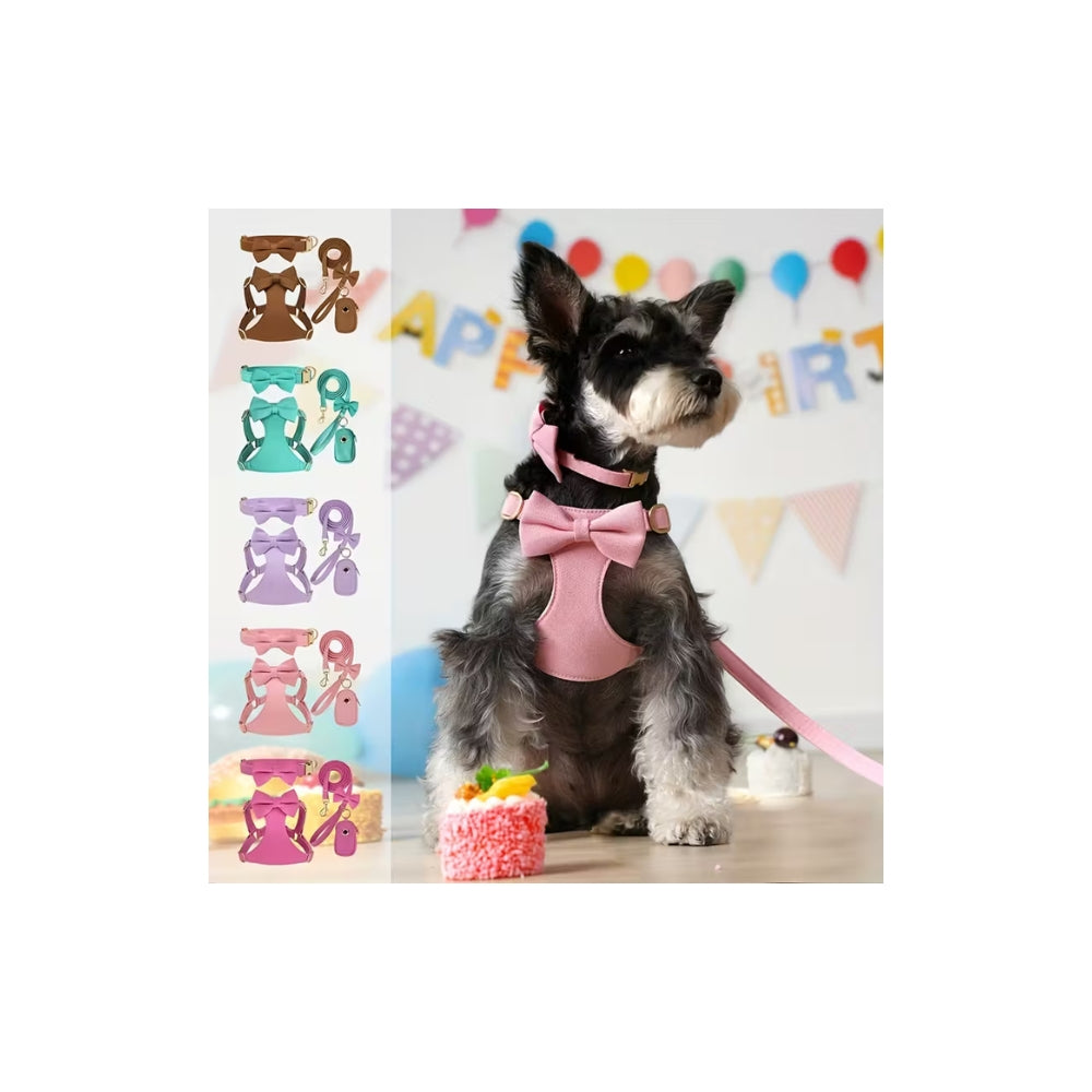 SET PETTORINA-COLLARE-GUINZAGLIO PER ANIMALI DI PICCOLA TAGLIA