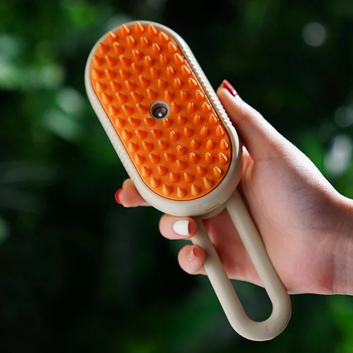 SPAZZOLA CON SISTEMA SPRAY A VAPORE
