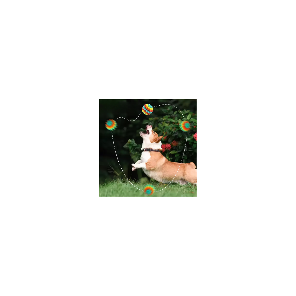 PALLINA RIMBALZANTE PER CANI