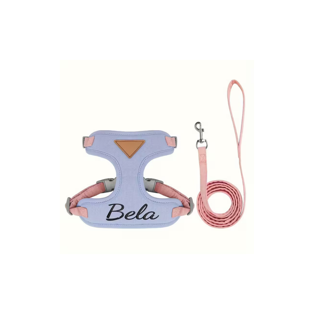 PETTORINA PERSONALIZZABILE CON GUINZAGLIO