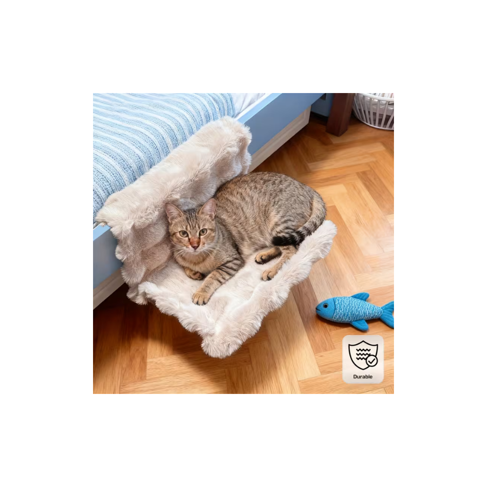 AMACA PER GATTI