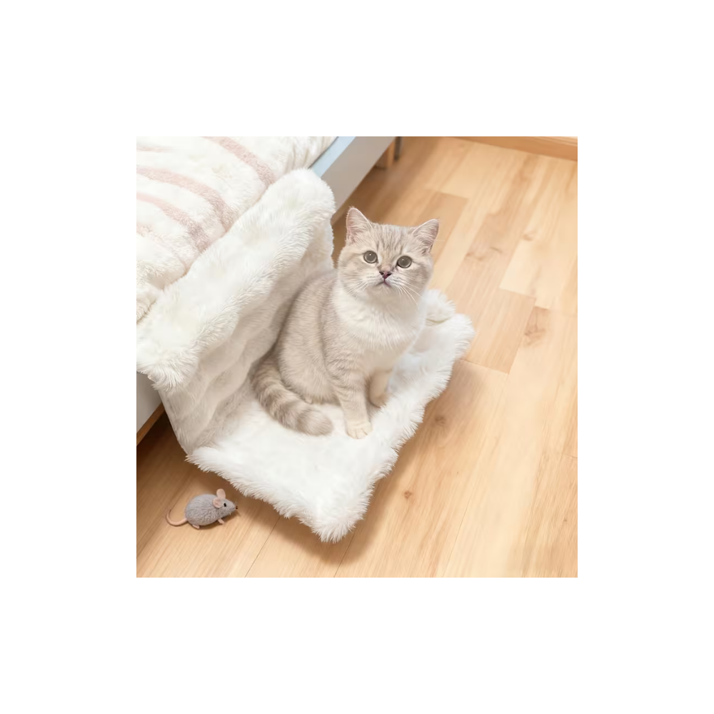 AMACA PER GATTI